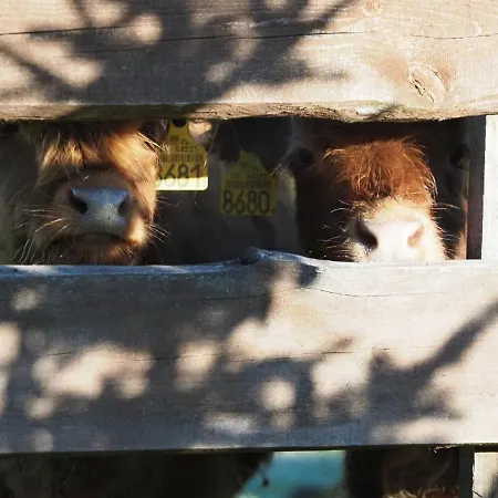 Farm stay Zagroda Jakubka *