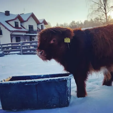 Zagroda Jakubka Gospodarstwo agroturystyczne *
