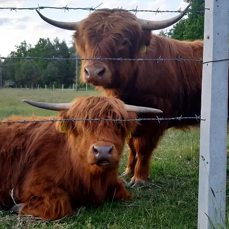 Zagroda Jakubka Gospodarstwo agroturystyczne
