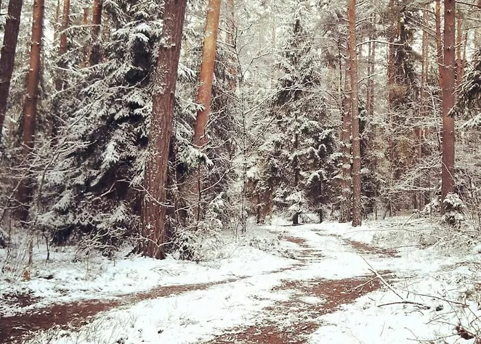 Zagroda Jakubka Myszyniec