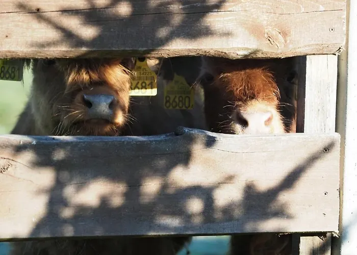 Alojamento de Turismo Rural Zagroda Jakubka *
