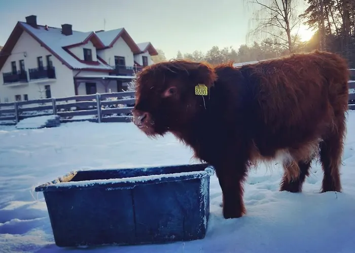 Zagroda Jakubka Alojamento de Turismo Rural *