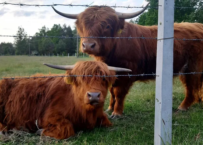 Zagroda Jakubka Alojamento de Turismo Rural
